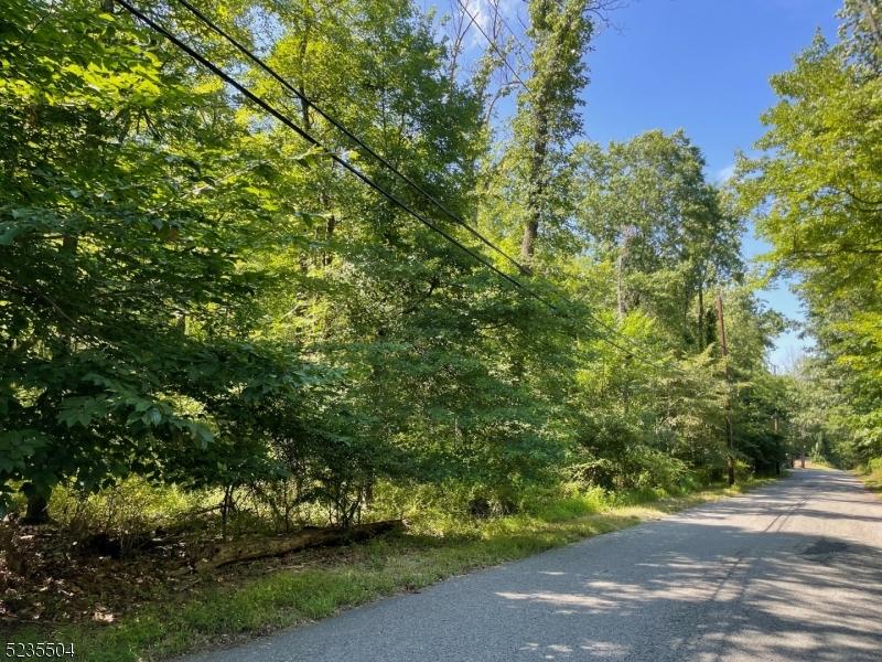 View from Road