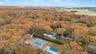 Bird's eye view of a forest
