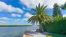 Tranquility Bench! Southern Point of Property! (Right in Front of "G"!