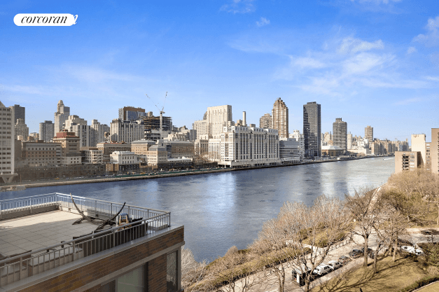 New Massive 1 Bedroom Apartment in one of the Most Desirable Condo Buildings on Roosevelt Island !