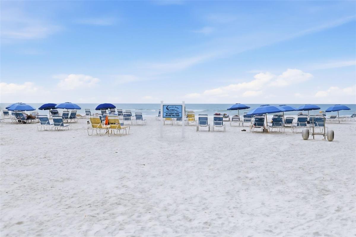 Chairs and Umbrellas for Owners and Guests