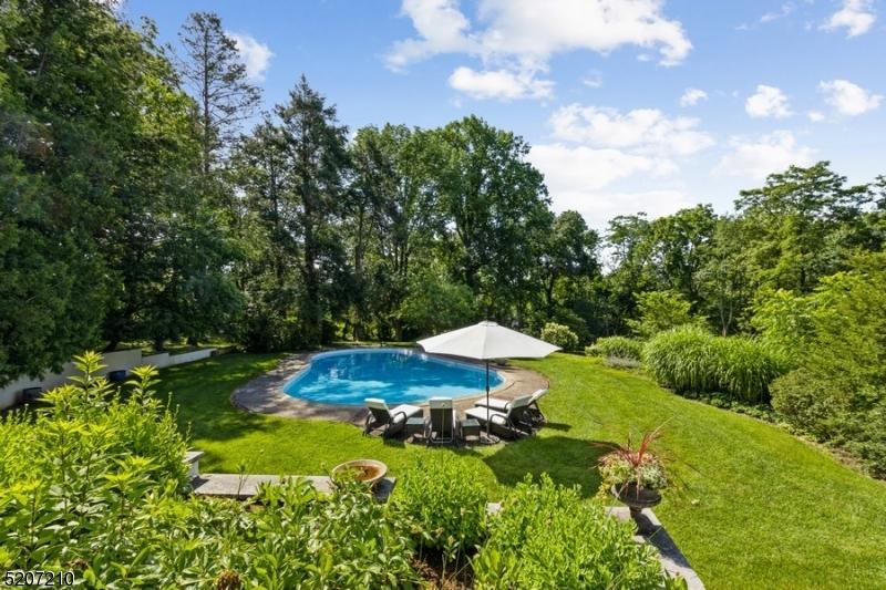 Looking out from patio at the