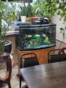 ornamentals dining room
