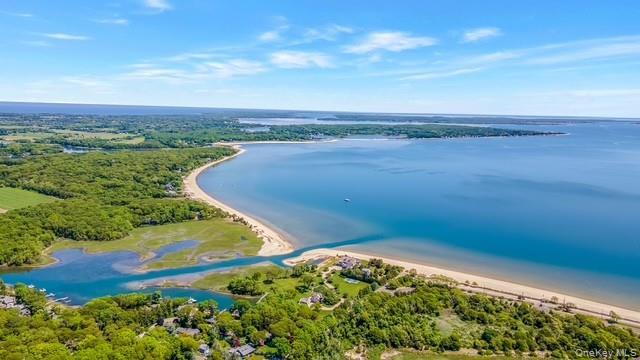 Aerial of Beach