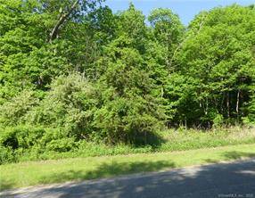 Beautiful undeveloped wooded lot with stone walls.