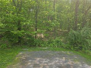 Private 3 Acre wooded interior site in an area of beautiful homes on the Bethel Newtown border.