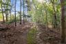 Rare 2.48 acres