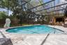 Lion Fountain Feature, Beta Solar Pool Skimmer and Tiki Bar Convey in the sale of the home!