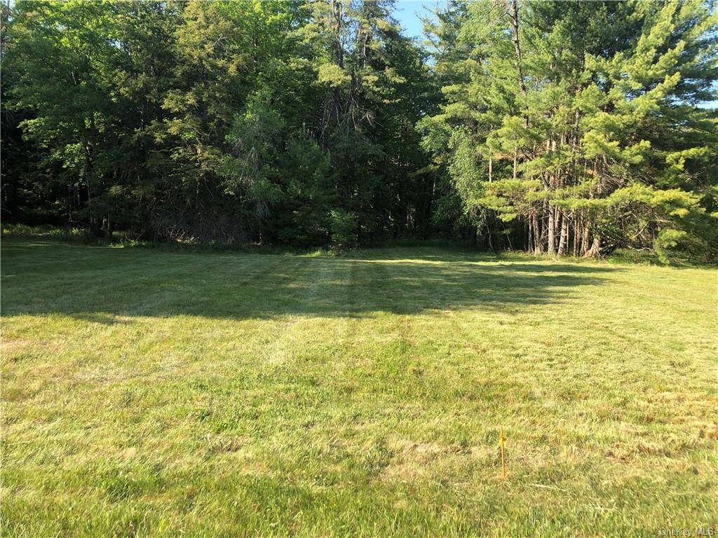 TOWN OF NEVERSINK ! 2. 39 Acre partially wooded building lot at the end of a dead end road maintained by the Town of Neversink HWY DEPT !