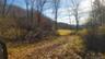 View of nature featuring a forest view
