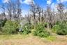 Pond/Wetlands