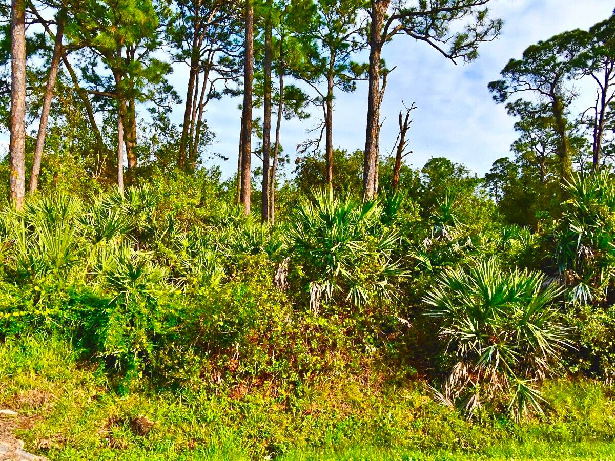 Discover Florida paradise with this land for sale, nestled near the vibrant downtown of Fort Pierce, Florida.