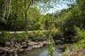 Park Creek