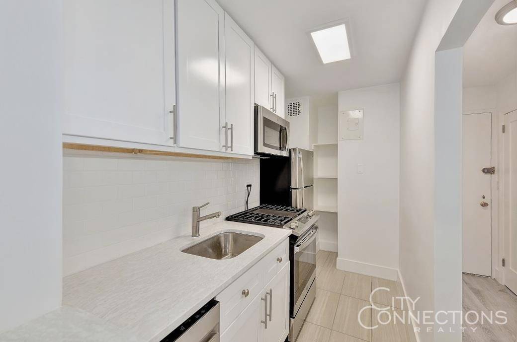 Brand new gut renovated one bedroom South facing apartment in the Townsley.