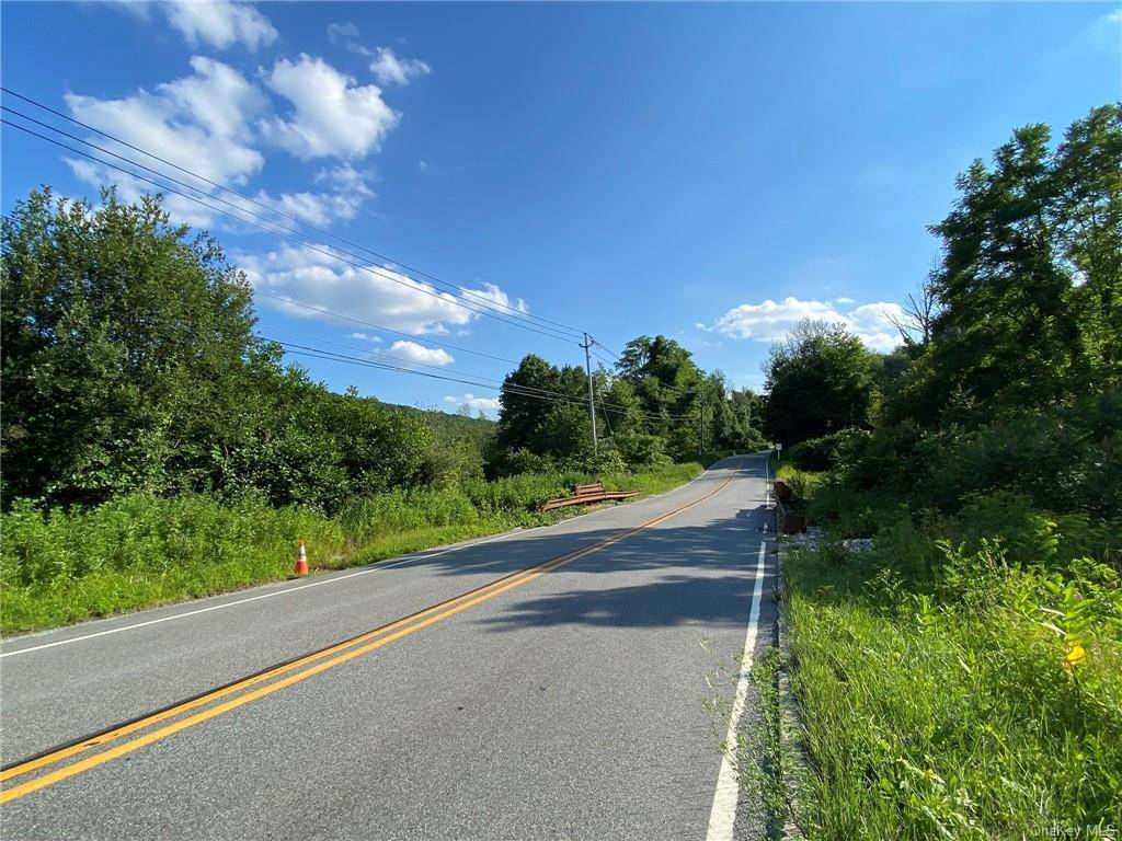 Find a multitude of recreational options and the possibility of a lovely homesite with over 110 scenic acres straddling the New York and New Jersey borders.