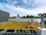 Rooftop