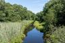 Brushes Creek