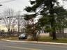 View from street