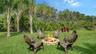 Back yard fire pit