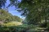 Creekfront path