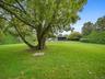 View of green lawn