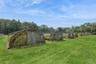 View of grassy yard