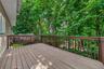Watch the trees turn color without worrying about raking!