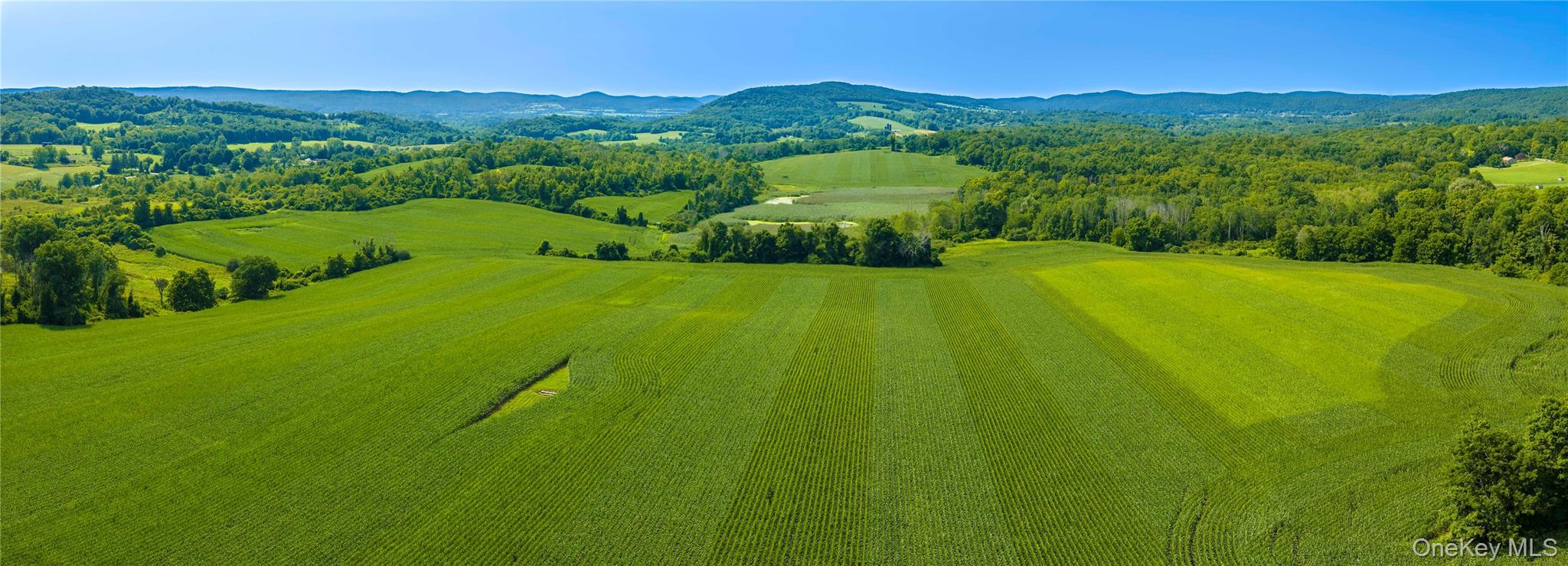 Bull Farm is an extraordinary 422.42-acre assemblage of farmland, woodlands, wetlands, and working agricultural property. The entire property seen fro
