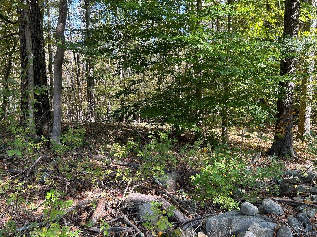 1. 9 acre residential building lot known as Lot 17 on the filed subdivision map titled Winding Hills Golf Course Community.