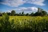 Property views