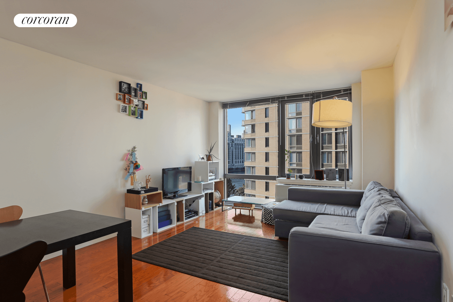 Huge 1000 sqft 2 Bedroom 2 Bathroom Apartment with a Huge Storage Bin in One of the Most Desirable Condo Buildings on Roosevelt Island !