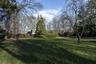 View of grassy yard
