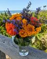 Flowers from the garden