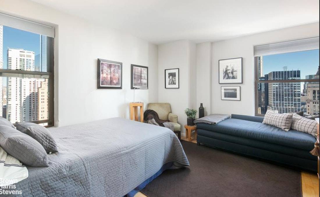 Beautiful Furnished Sunny Studio on a High Floor with Open City, Park amp ; River Views.