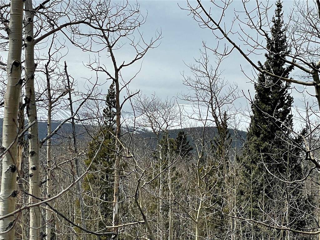 10 ACRES in Park County just a short drive to Fairplay, Alma, and Breckenridge !