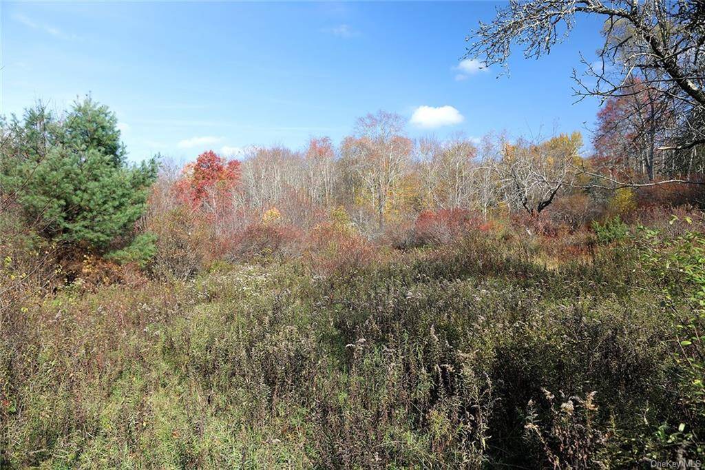 56 acre property comprised of a small stream, over grown meadows, mature hardwood, apple, hemlock trees, plus blueberry bushes.