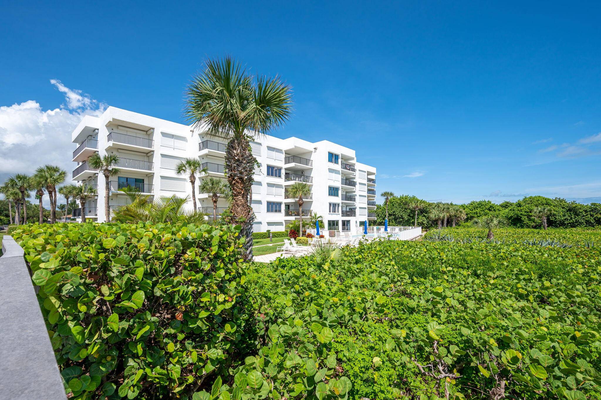 Light and breezy condo in a beachfront building, overlooking one of the finest beaches in town.