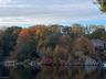 Fall Colors