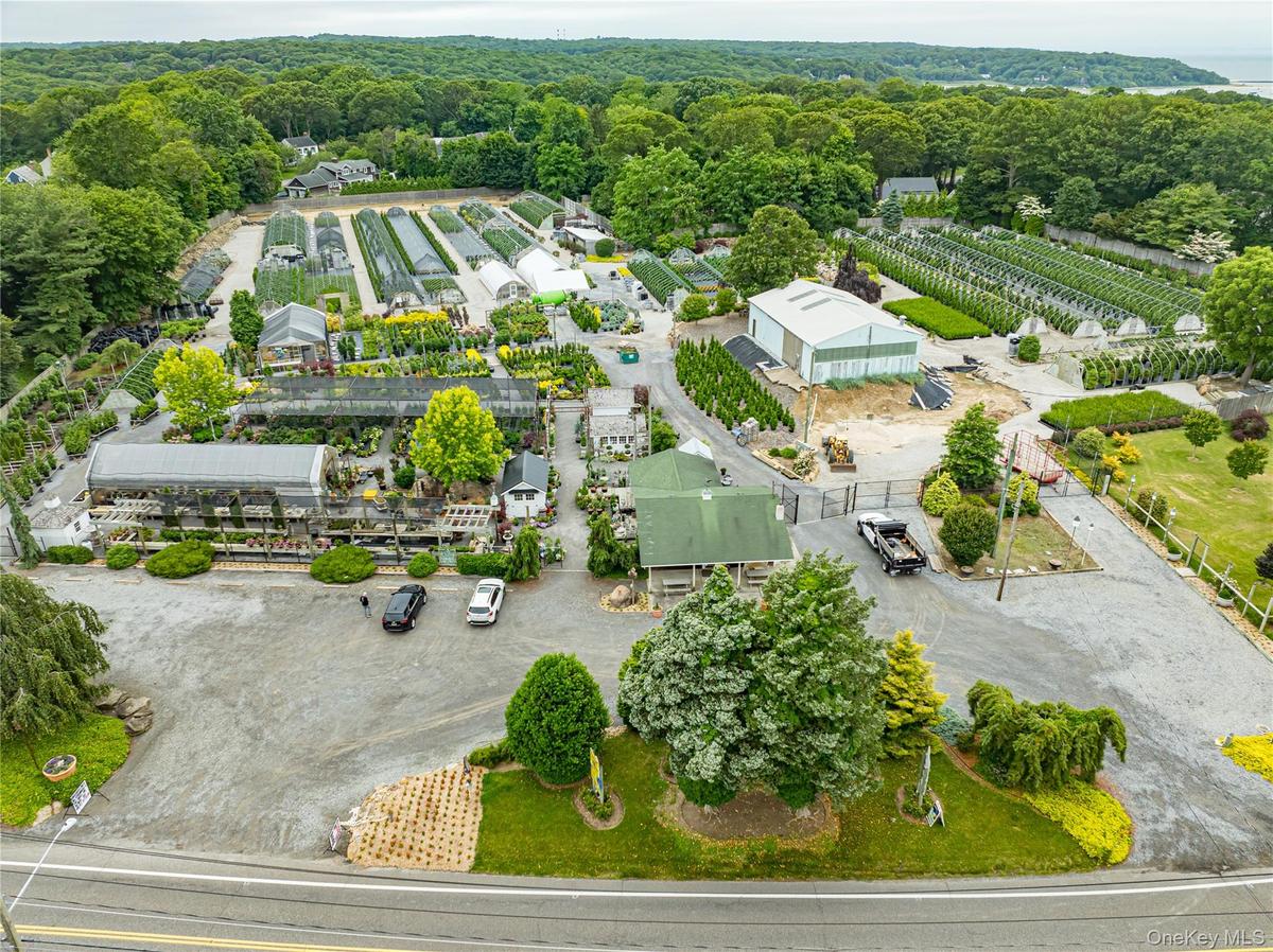 Bird's eye view of a forest