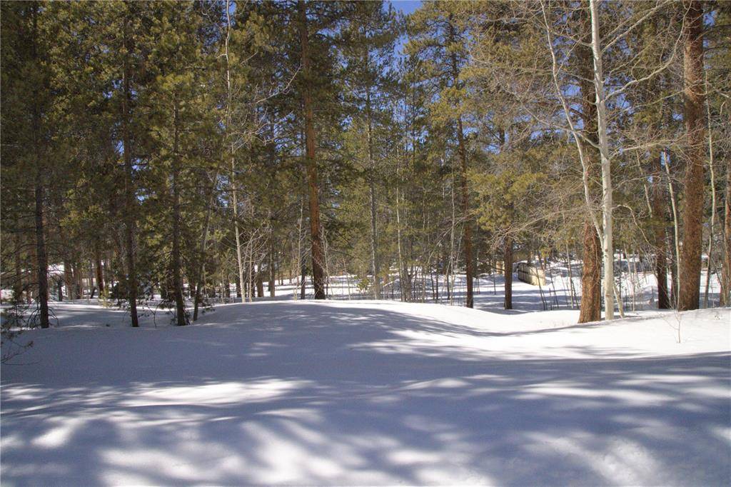 Well treed lot easily made open to build your dream mountain get away.