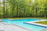 Backyard View