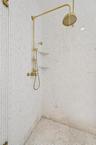 Primary shower