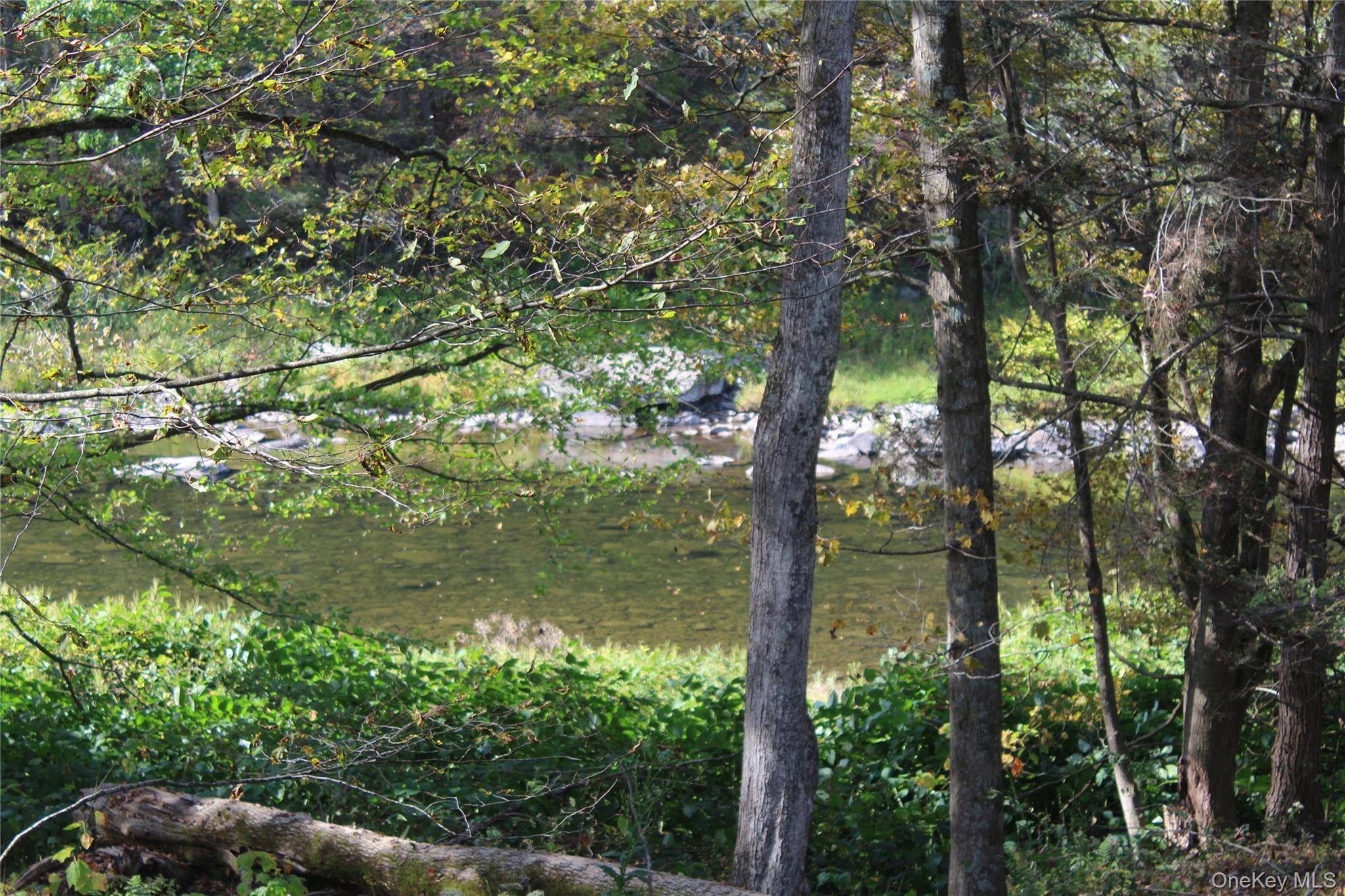 SPORTSMAN S PARADISE 290 Acres with 1, 500 Ft.