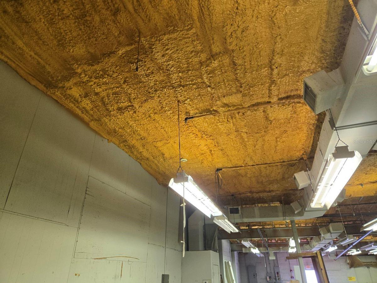 Ceiling Insulation
