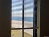 Dining area views!