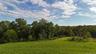 View of woods