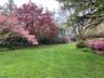 Spring!