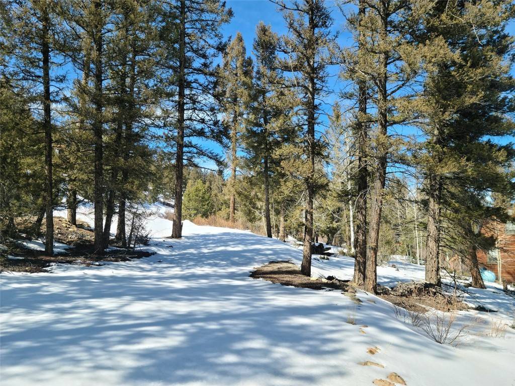 Here is an incredible chance to build your dream mountain getaway on a gently sloping lot in the beautiful Redhill Forest Subdivision.