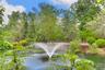 Water view featuring a tree filled landscape