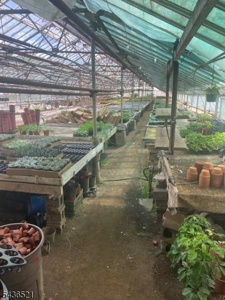 Greenhouse 2